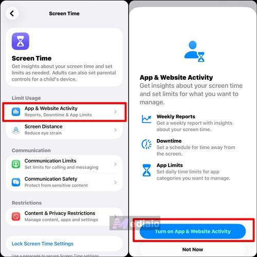 choose Turn On App & Website Activity | Download Apps with Face ID