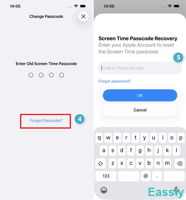 Tap Forgot Passcode? at the bottom of the screen