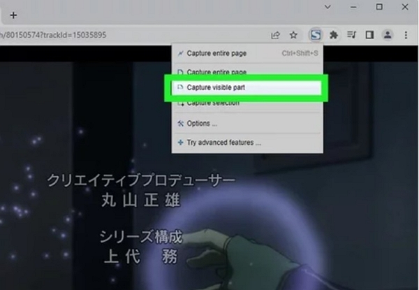 Capture Visible Part | how to screenshot netflix