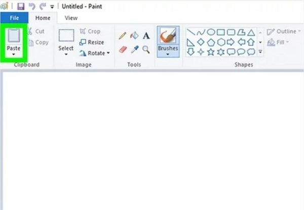paste the screenshot | how to screenshot netflix