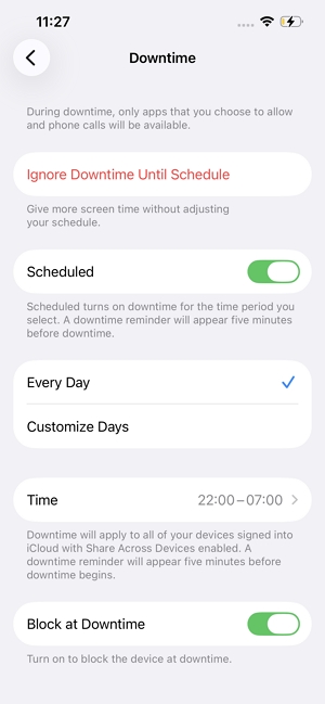 Ignore Downtime Until Schedule