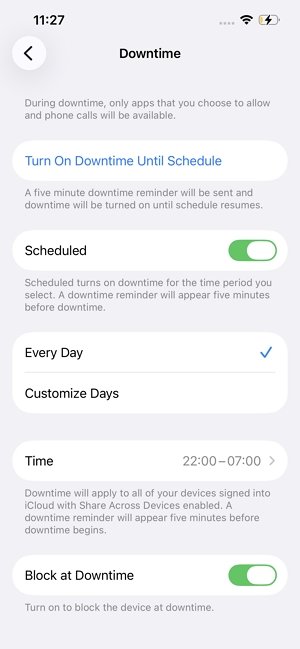 Turn On Downtime Until Schedule