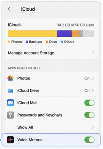 enable Voice Memos