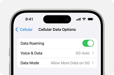 Low Data Mode | how much data does netflix use