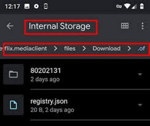 file manager application | how to download movies from netflix on android