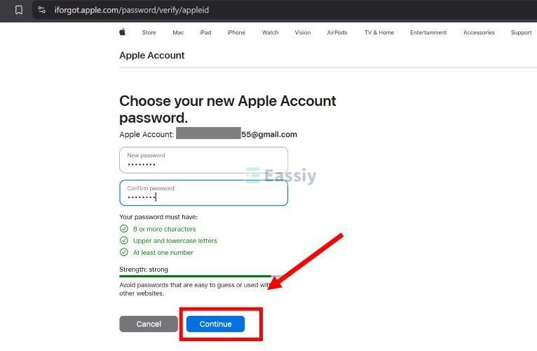 hit Continue | Factory Reset iPad Without Apple ID Password