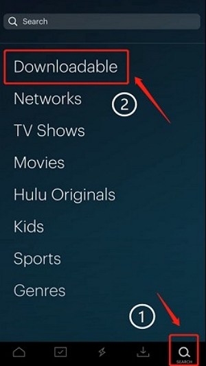 look for the video | can you download hulu shows