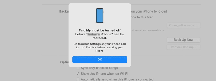 Turn off Find My on the iPhone