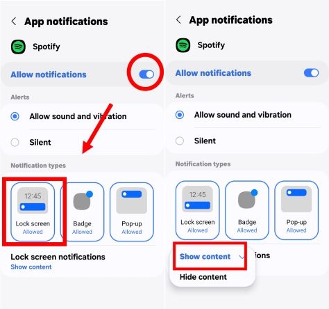 shown music controls | Spotify Not Showing on Lock Screen