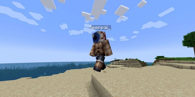 Flashback limitations | Minecraft Recording Mods