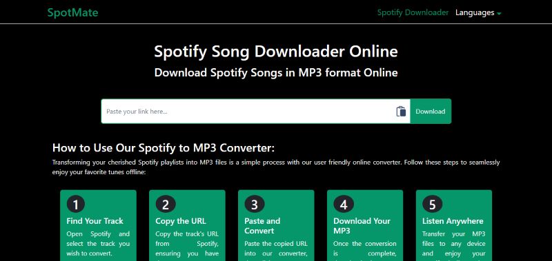 online music downloader | Download Music from Spotify to Computer