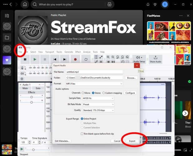 choose Export | Download Music from Spotify to Computer