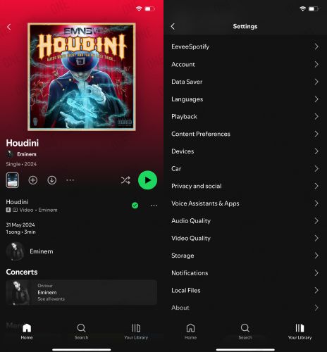 EeveeSpotify home screen | Spotify IPA