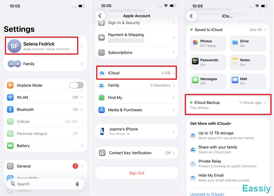select iCloud Backup