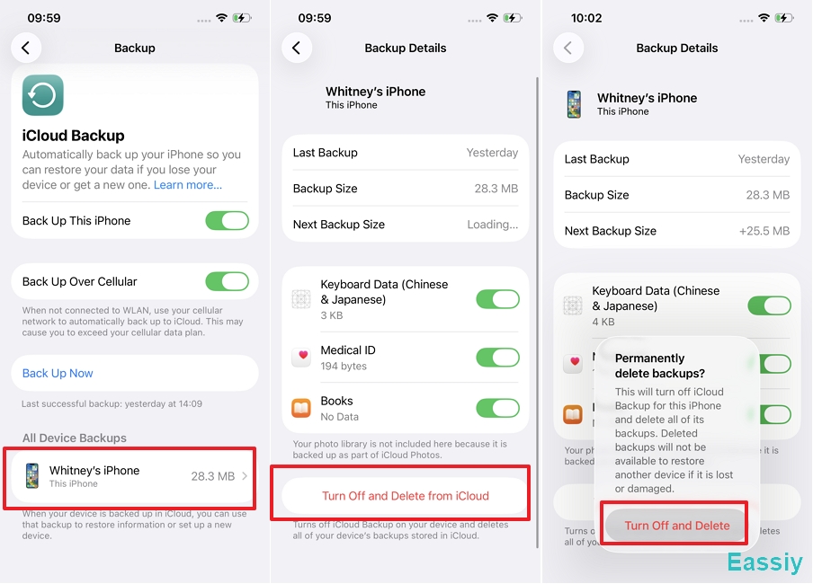 Delete the Last iCloud Backup