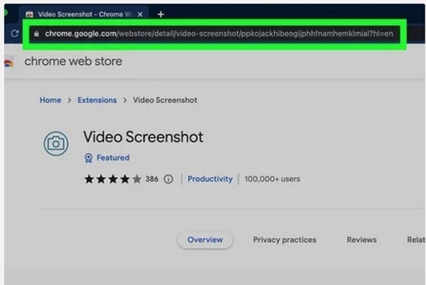 Video Screenshot Extension | how to screenshot netflix
