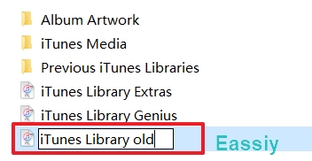 rename it to iTunes Library old