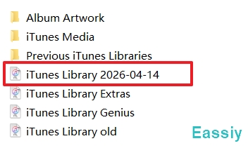 Paste the copied file back into the main iTunes directory