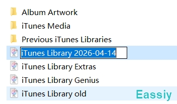 Rename it to iTunes Library