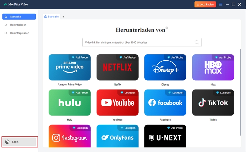 Filme auf dem PC mit Eassiy | record movies on PC