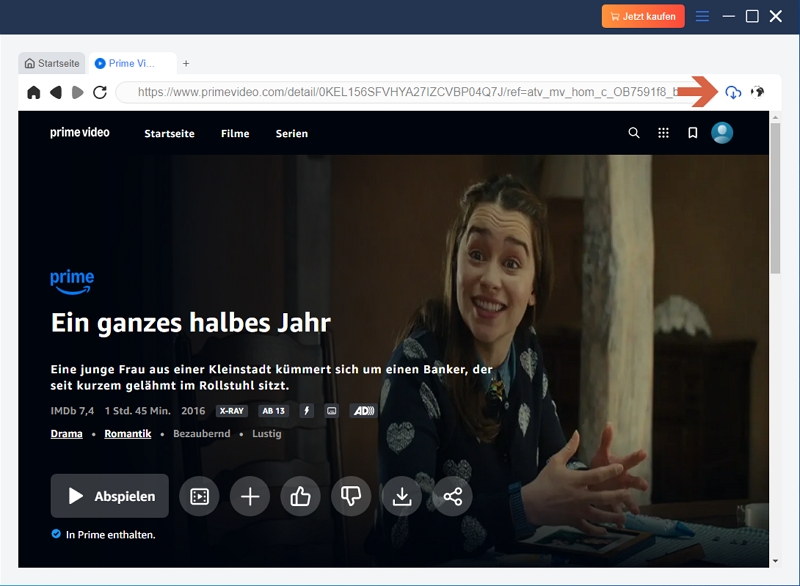 Filme auf dem PC mit Eassiy | record movies on PC