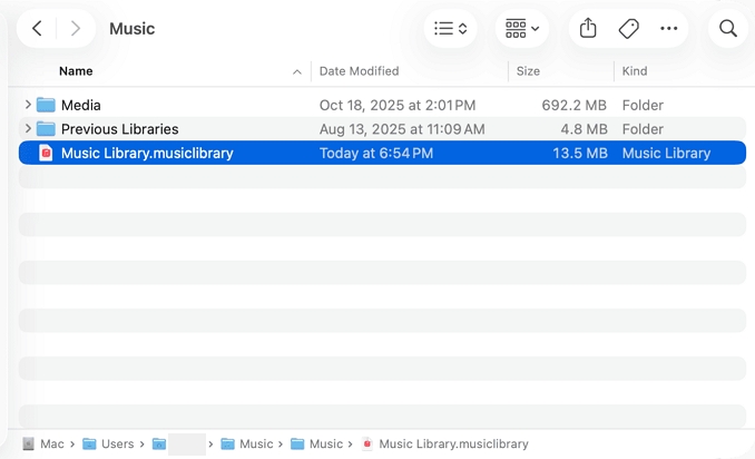 Click on the Music Library file