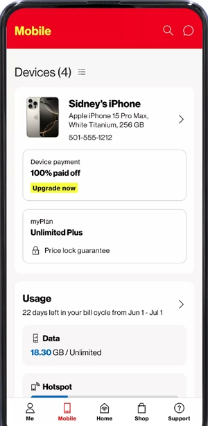 Check Message Records from Your Carrier