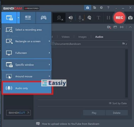 Microphone selected | WhatsApp Call and Video Recorders