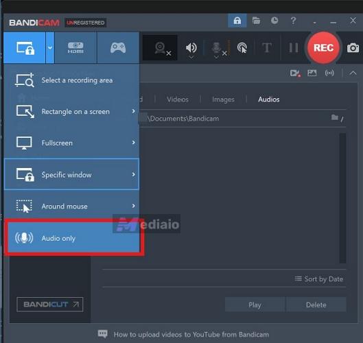 Microphone selected | WhatsApp Call and Video Recorders
