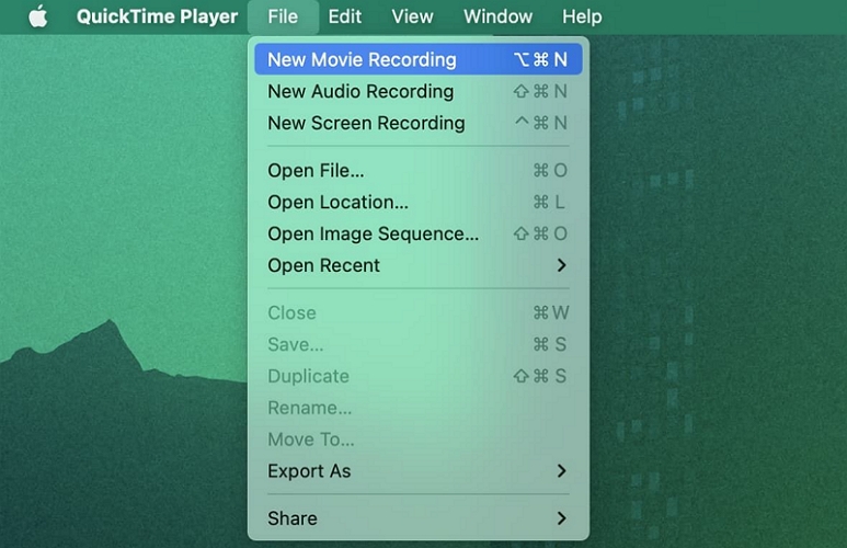 choose New Movie Recording | WhatsApp Call and Video Recorders