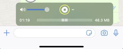 hit Record | WhatsApp Call and Video Recorders