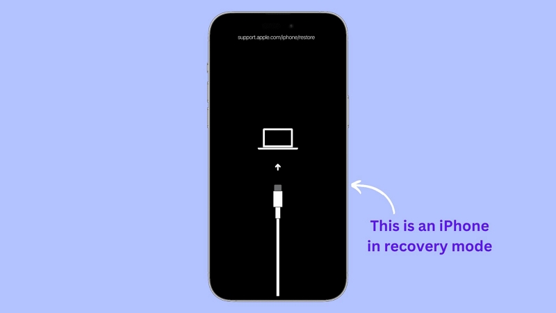 best ones | Reset Frozen iPhone