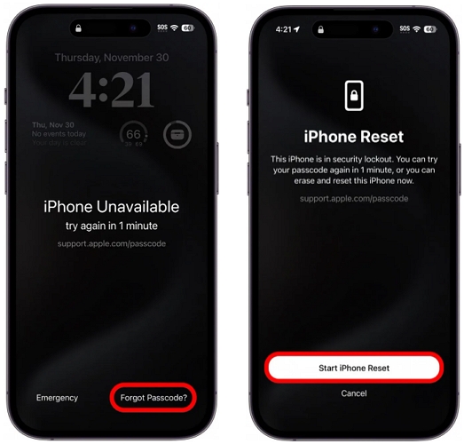 select iPhone Reset | iPhone Password Recovery