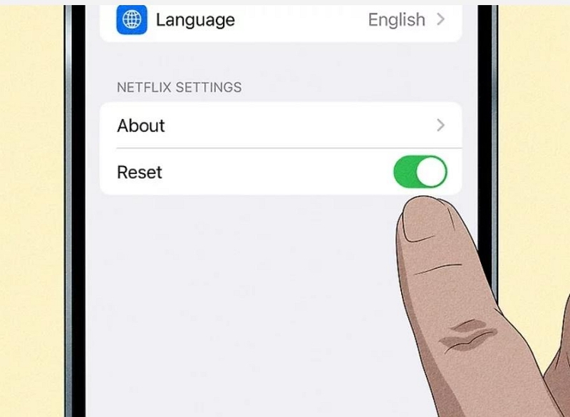 reset option | netflix not working