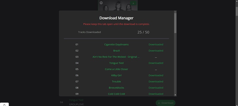 launch Download Manager | SpotifyDown