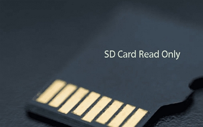 reinsert the SD card | how to save netflix downloads to sd card