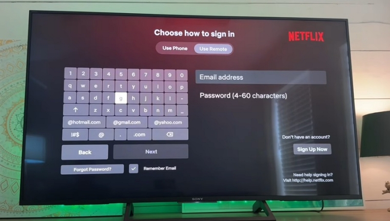 enter the email address | how to sign out of Netflix on Roku