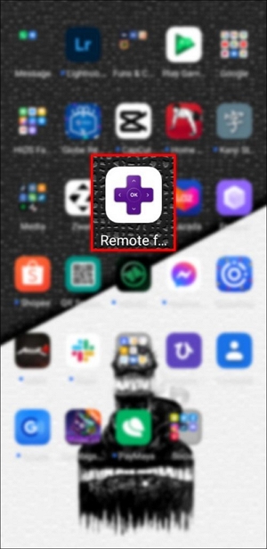 opening the Roku | how to sign out of Netflix on Roku