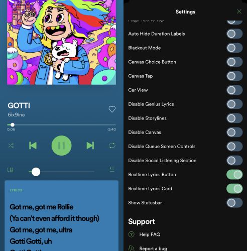 Spotify IPA feature | Spotify IPA