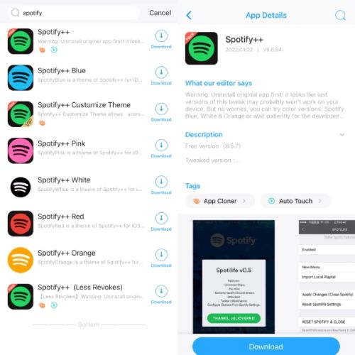 Spotify IPA overview | Spotify IPA