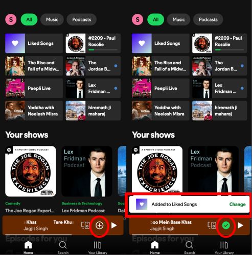 add to Liked Songs | Spotify Liked Songs Not Showing