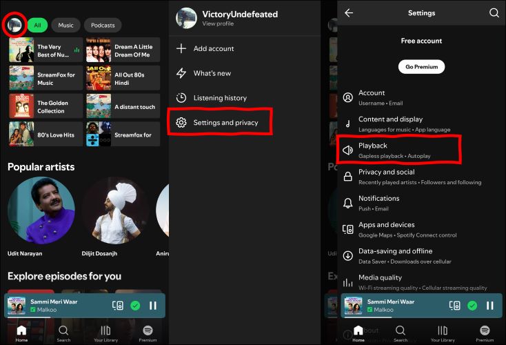 look for Playback | Stop Spotify from Playing Suggested Songs