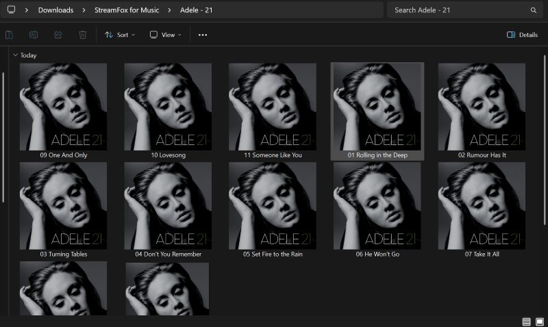 neatly sorted songs | VidToMp3 