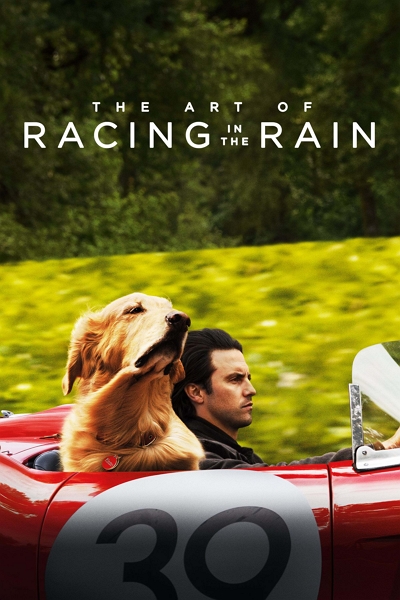 The Art of Racing in the Rain | feel good movies on amazon prime