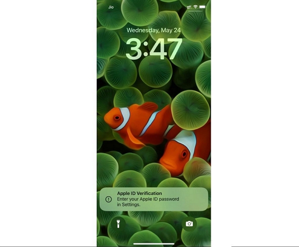 Apple Account verification | Turn Off Lost Mode on iPhone