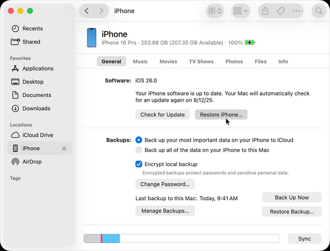 reinstall iOS | Turn Off Security Delay on iPhone Without Waiting