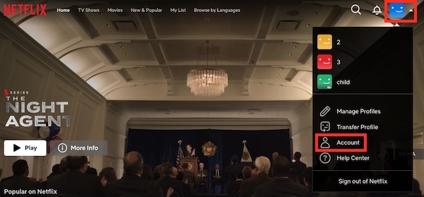 launch your chosen web browser | how to delete Netflix account