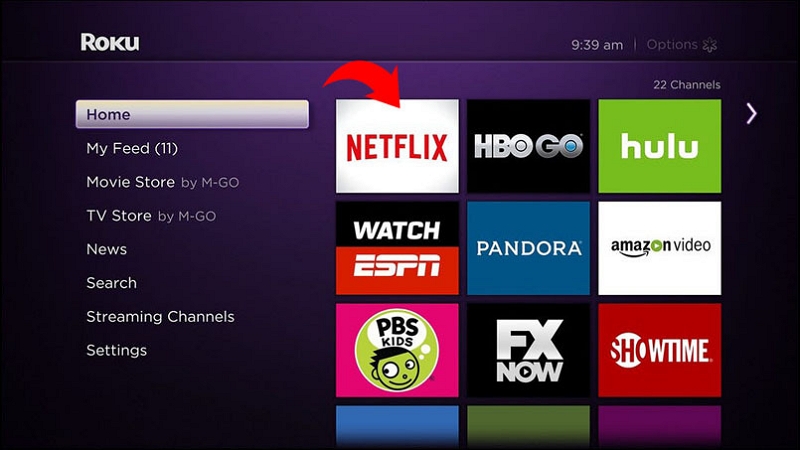 Netflix application | how to sign out of Netflix on Roku