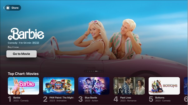 shared with friends | is it illegal to screen record netflix