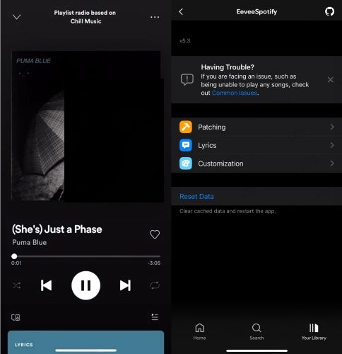 supported iOS | Spotify IPA